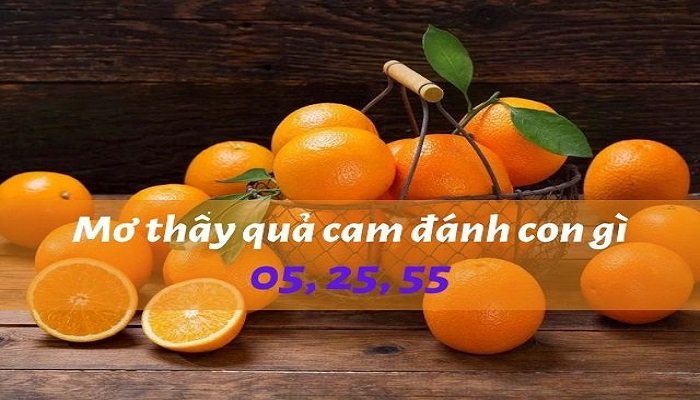 M? th?y qu? cam ?ánh con gì d? trúng nh?t mang ??n c? h?i trúng l?n 