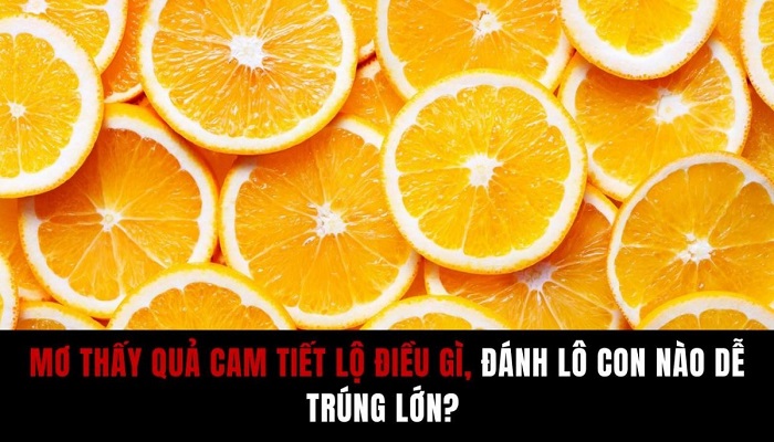 Gi?c m? cho th?y th?i gian t?i b?n s? g?p nhi?u may m?n và có c? h?i làm ?n l?n