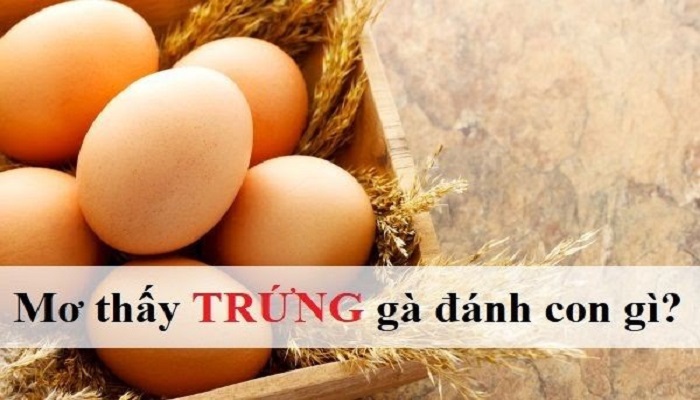 M? th?y tr?ng gà ?ánh con gì có c? h?i th?ng l?n phá ??o nhà cái