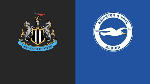 Soi kèo nhà cái Newcastle United vs Brighton - Premier League - 19/10/2024